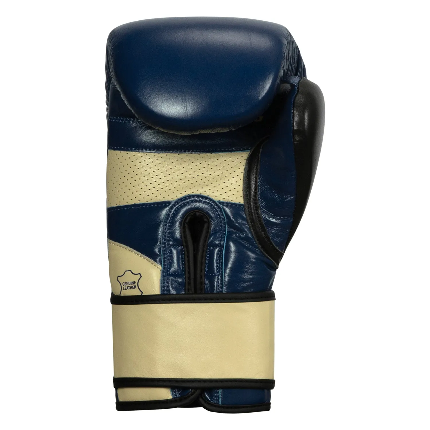 TITLE Boxing Rock Steady Leather Training Gloves